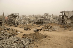palestina