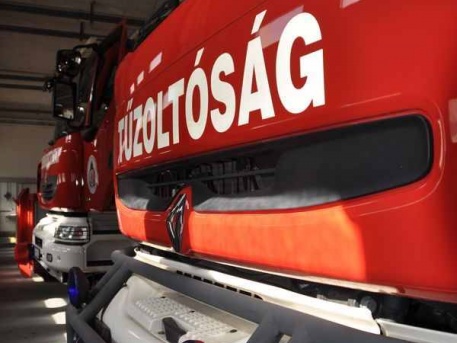 tuzolto