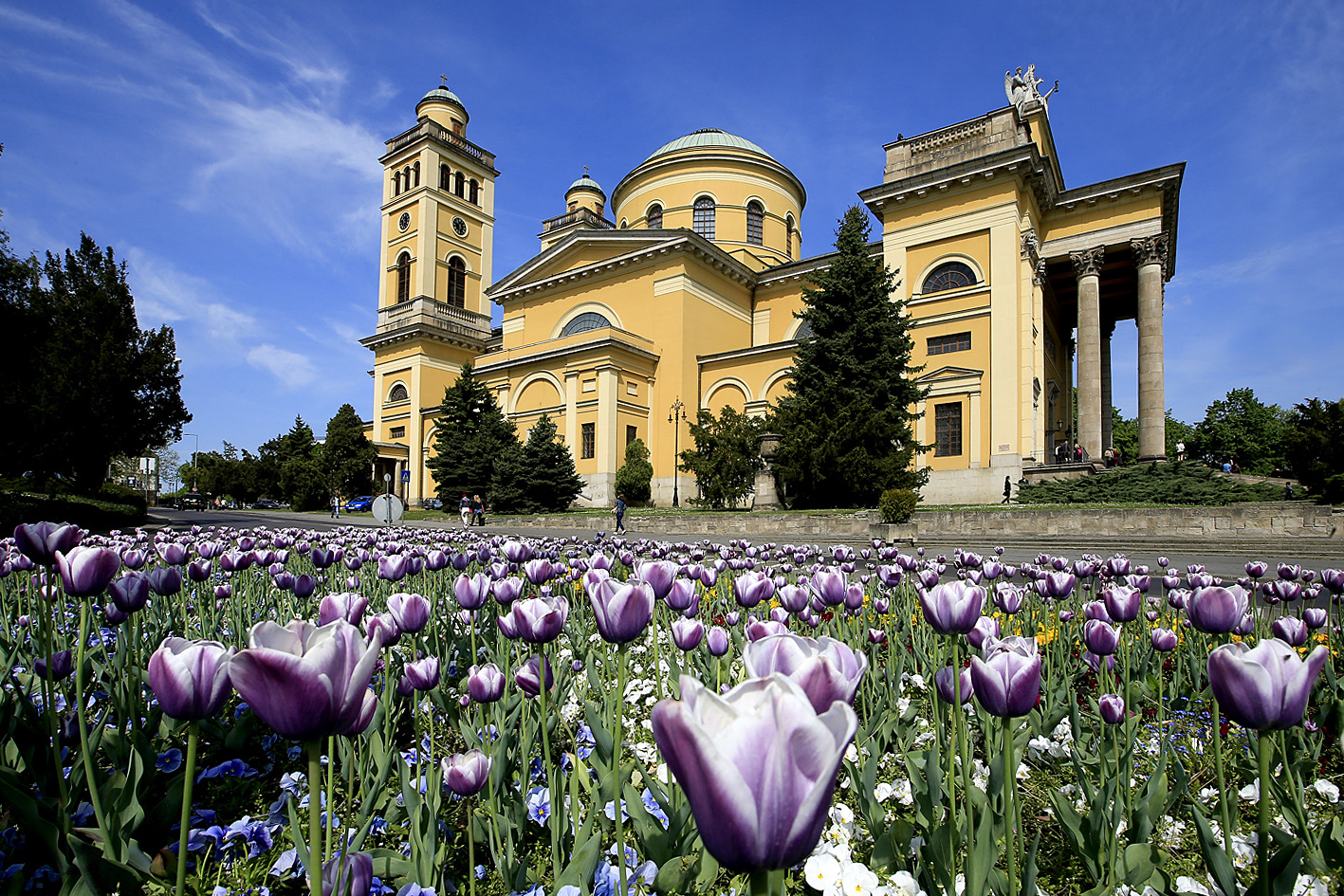 Fotó: Nemes Róbert