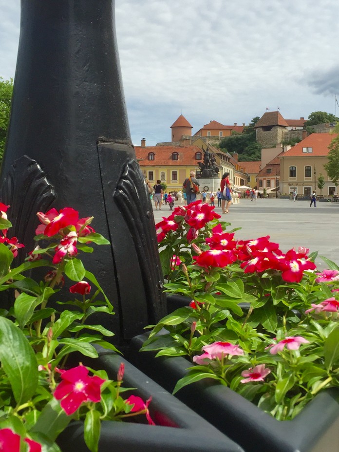 20160715_084857598_iOS