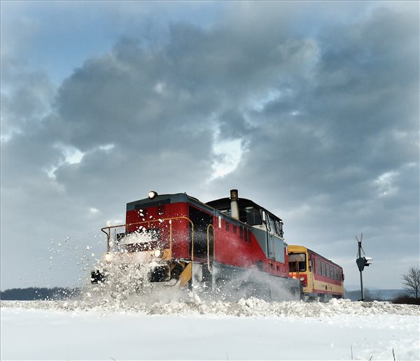 buszkaosz4