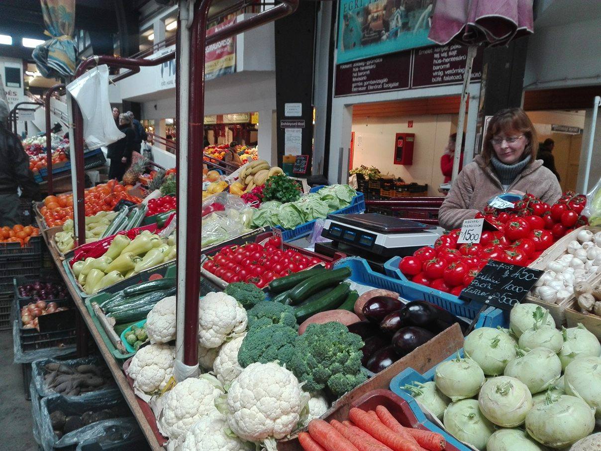 17101440_1445880882108873_2070842336_o