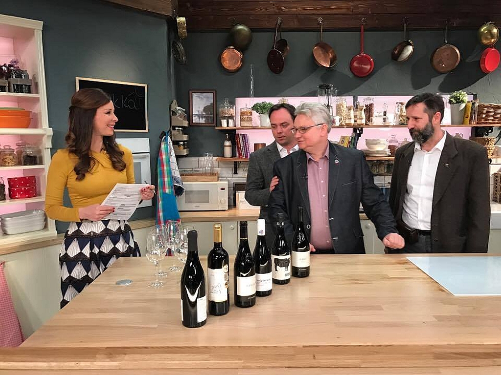 17554603_demcsak_zsuzsa_nyitrai_zsolt_lörincz_györgy_csutoras_ferenc_tv2_mokka_bikaver