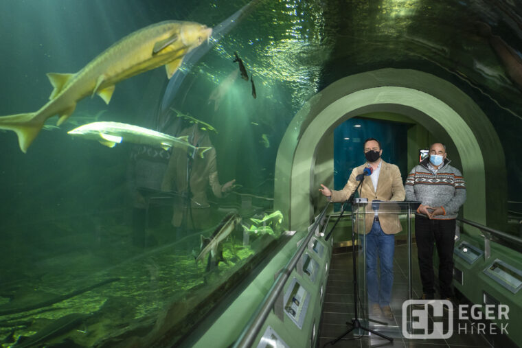 Nyitrai Zsolt, Bornemissza János